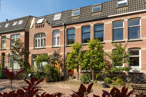 Tulpstraat thumbnail