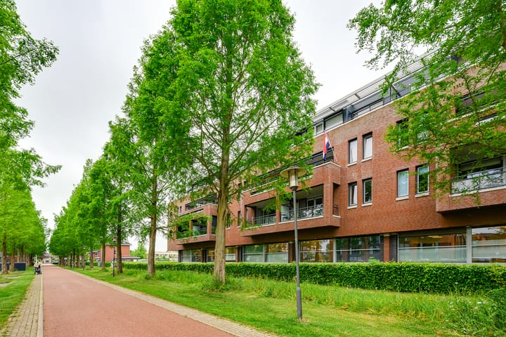 Foto 4 van Raadhuislaan 2-302