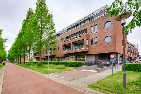 Raadhuislaan thumbnail