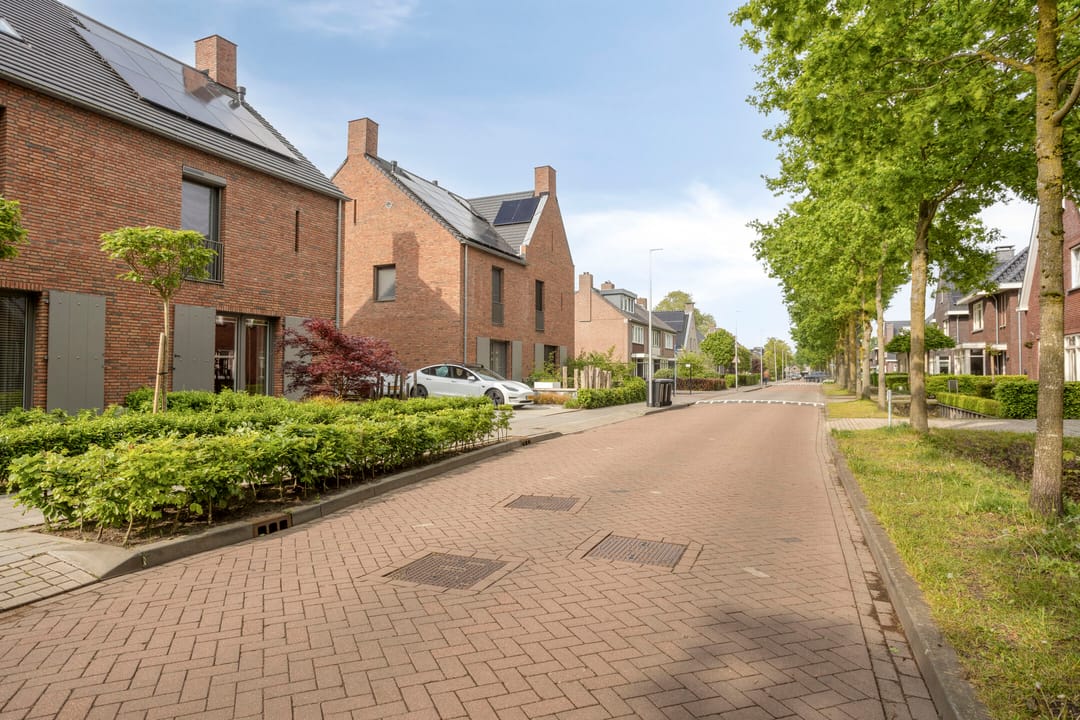 Photo 8 of Streek 36