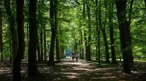 Foto 34 van Van Limburg Stirumlaan 85
