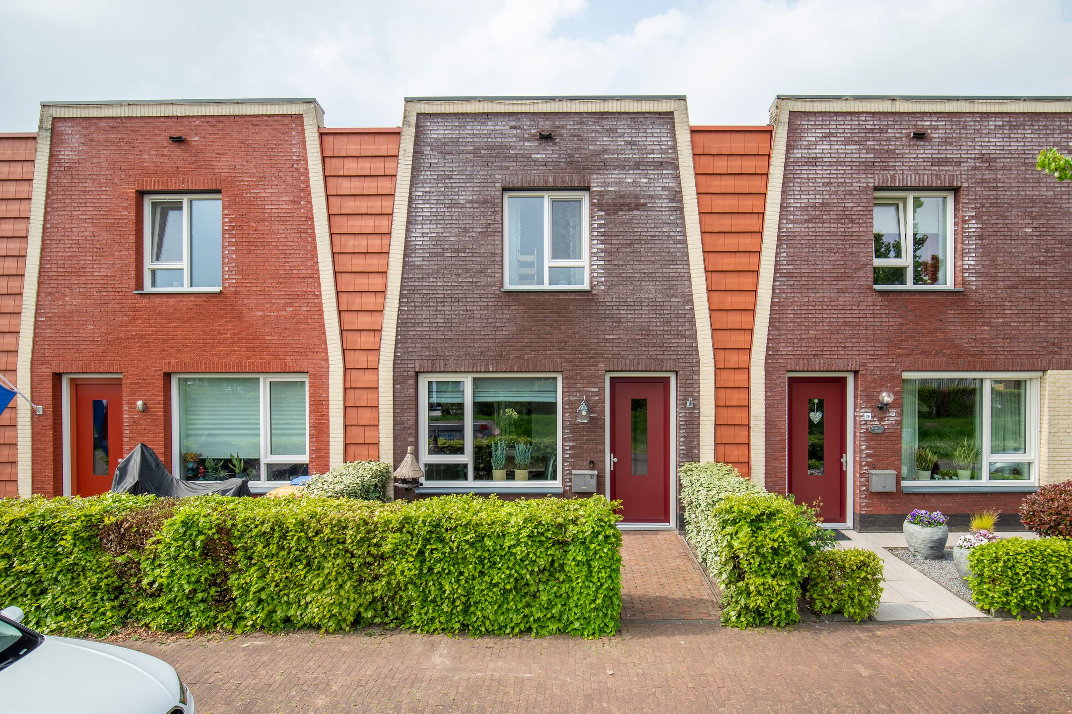 Drapeniersgilde 37