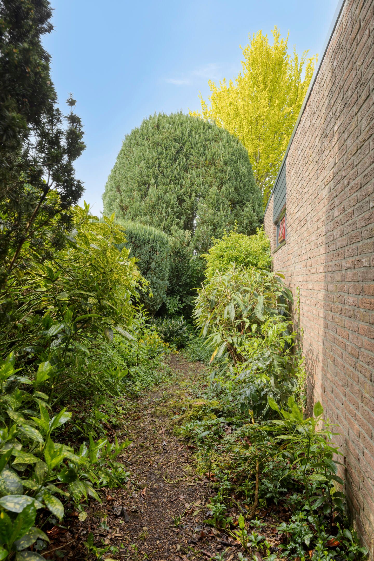 Photo 45 of De Woerd 23