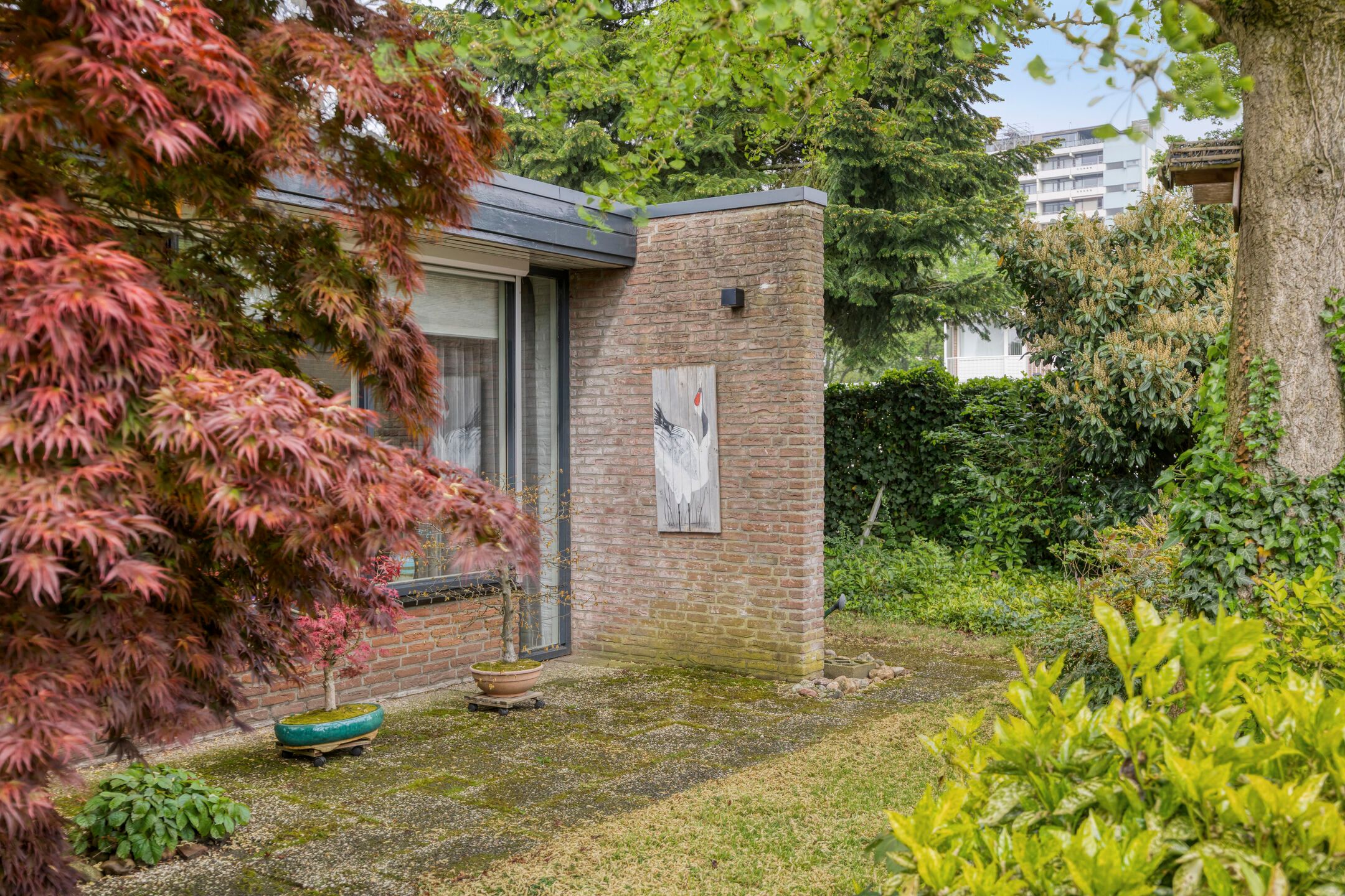 Photo 36 of De Woerd 23