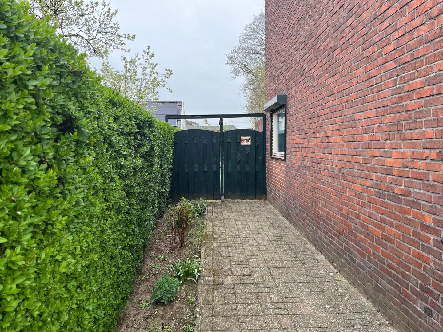 Foto 10 van Tarwestraat 3