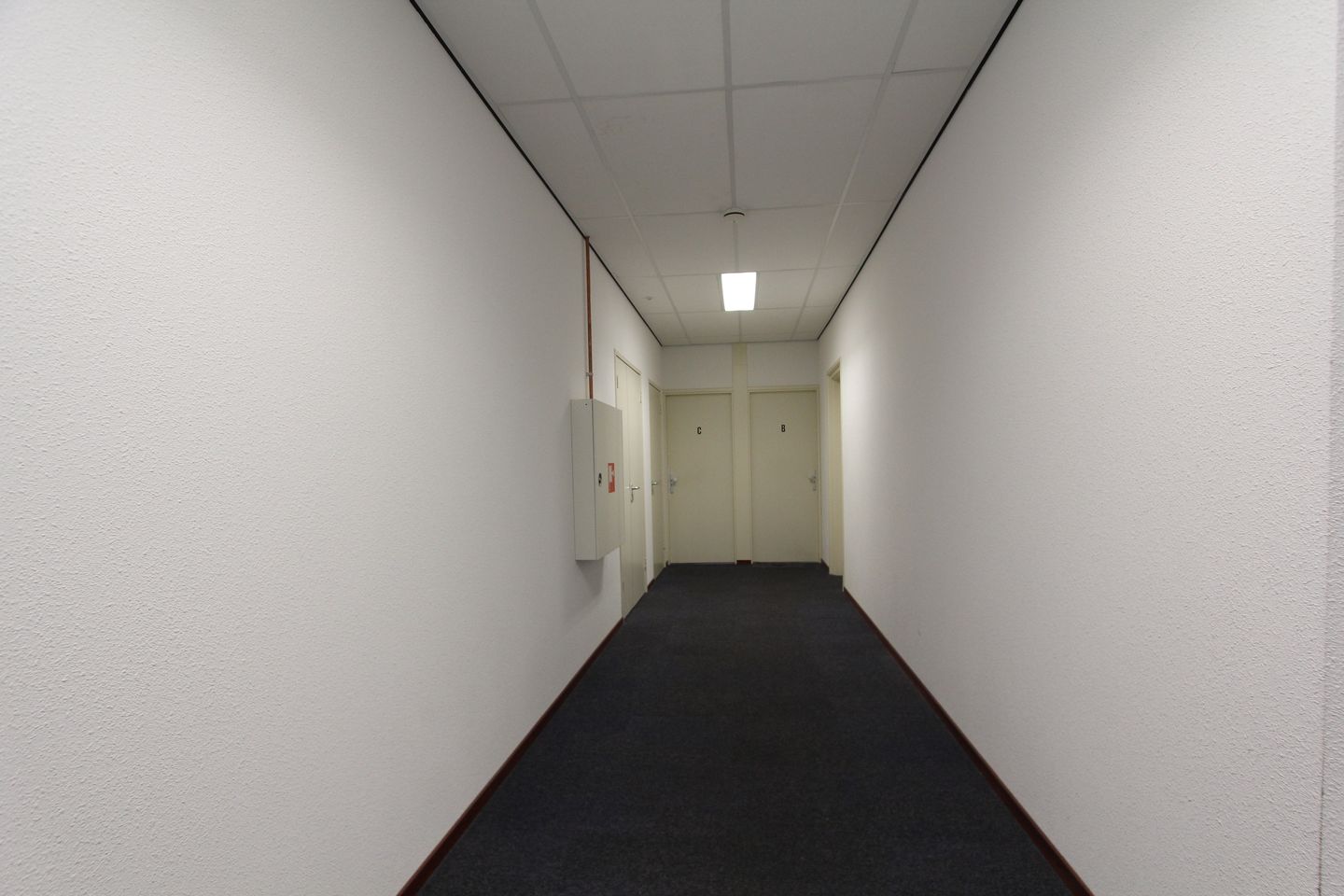 Bekijk foto 3 van Tingietersweg 18