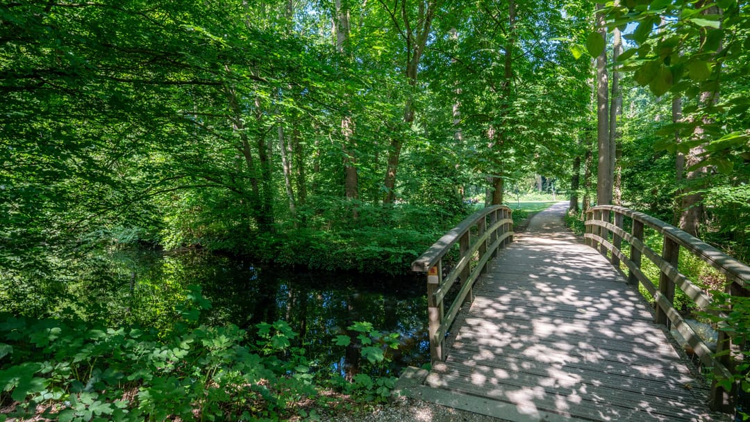 Foto 37 van Nieuweroord 8