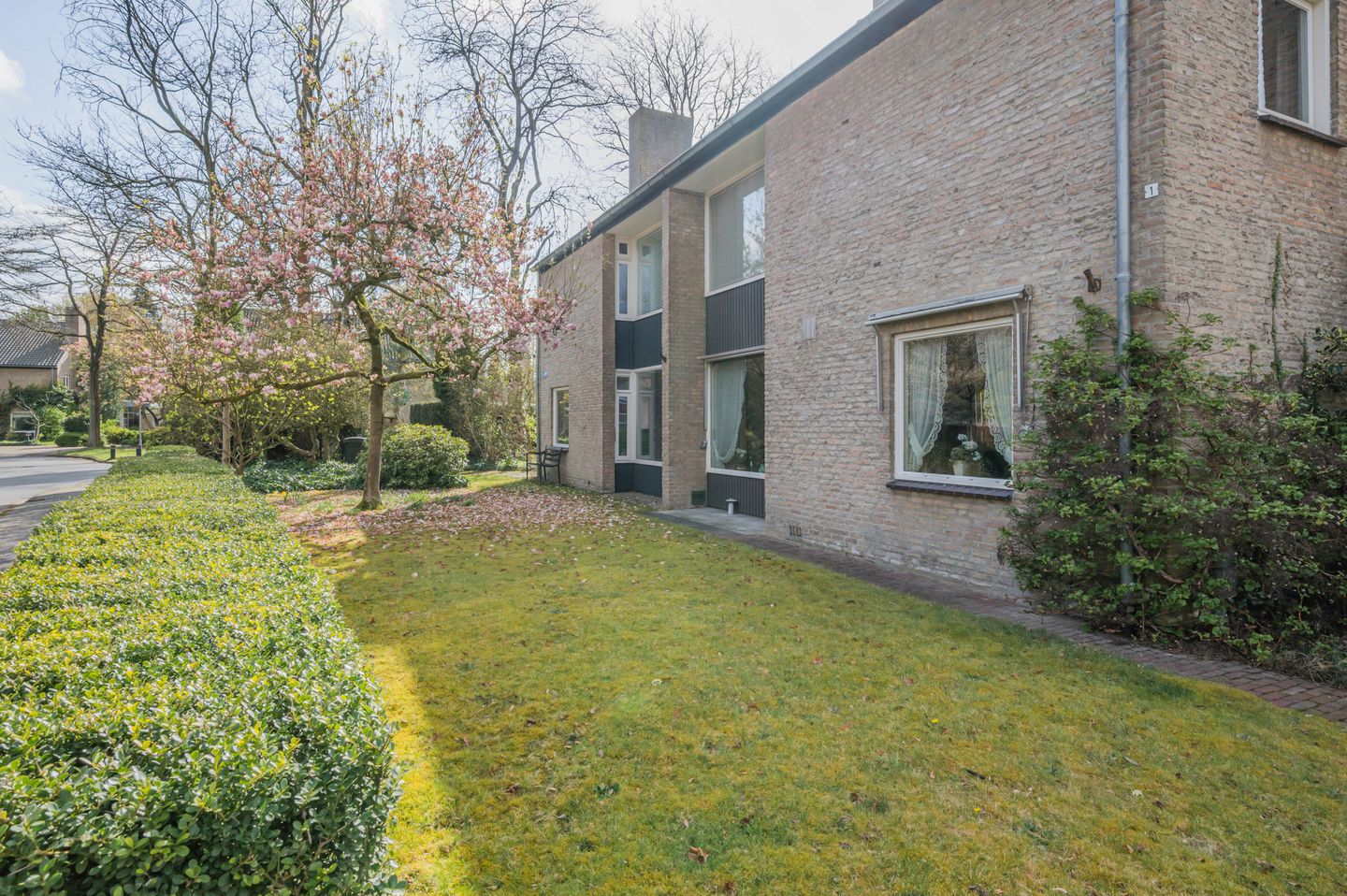 Foto 50 van de Lammert 1