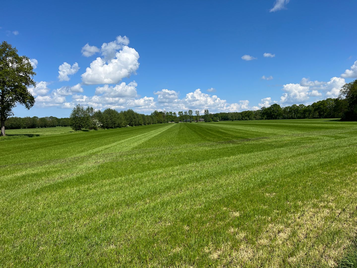 De Groep - Woudenberg - Afbeelding 1