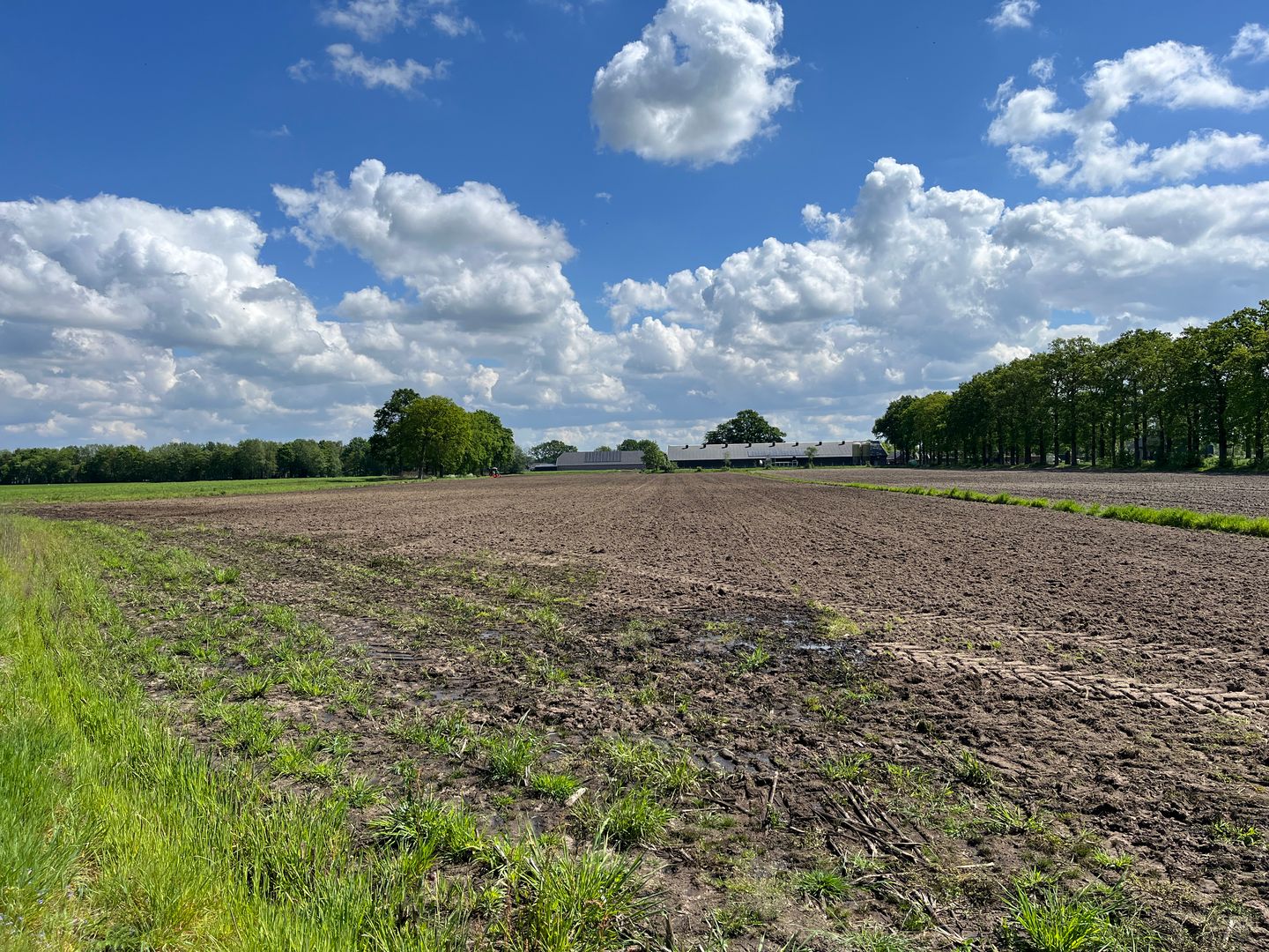 De Groep - Woudenberg - Afbeelding 5