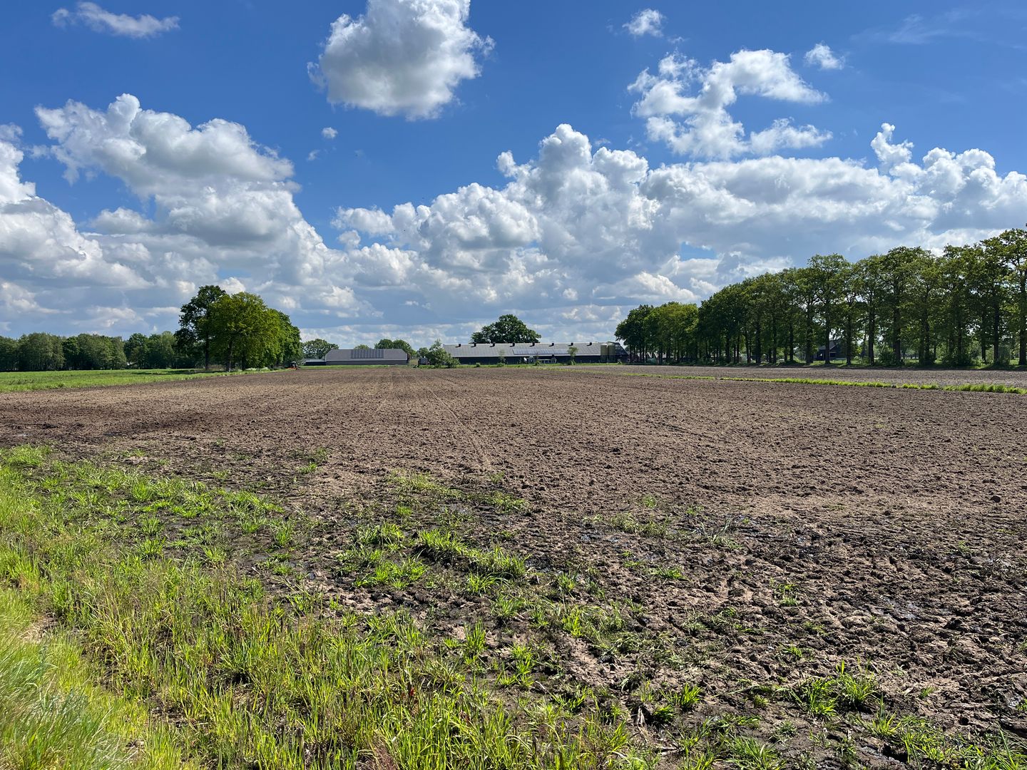 De Groep - Woudenberg - Afbeelding 4