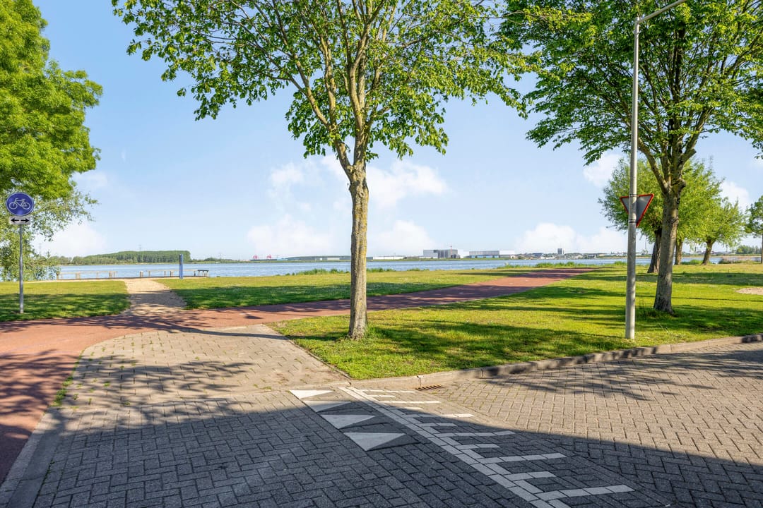 Corner house with sunny garden in family-friendly Bergse Plaat neighborhood — 26