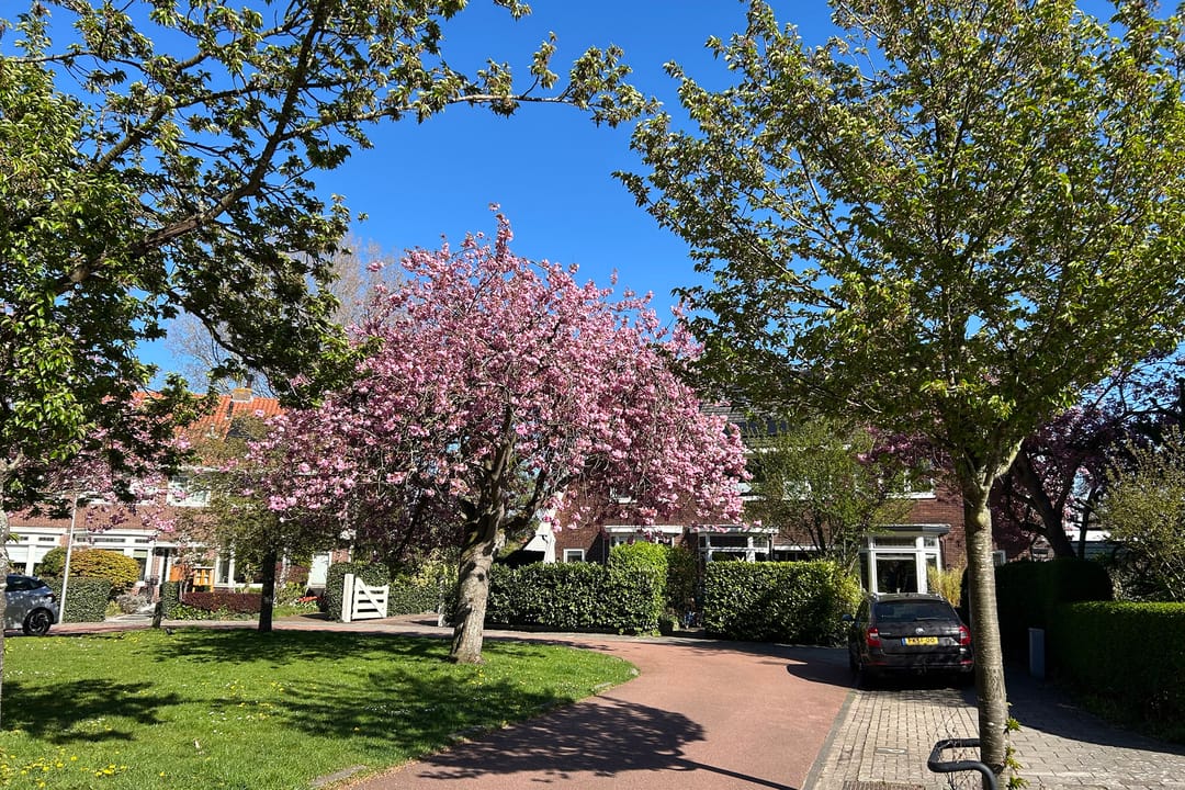Foto 43 van Schaepmanlaan 8