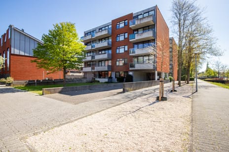 Antje Breijerstraat thumbnail