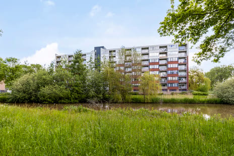 Lelystraat thumbnail