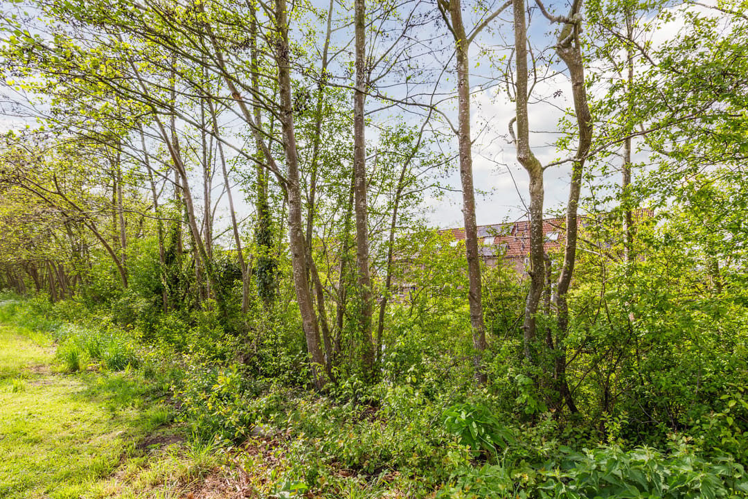 Photo 38 of Grote Belt 8