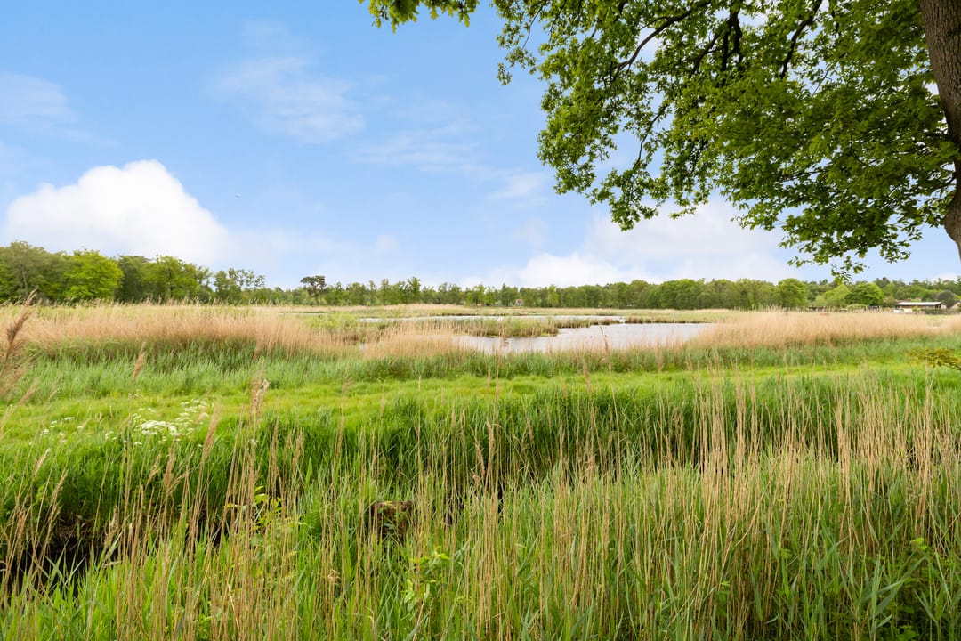 Photo 26 of Turfstreek 235