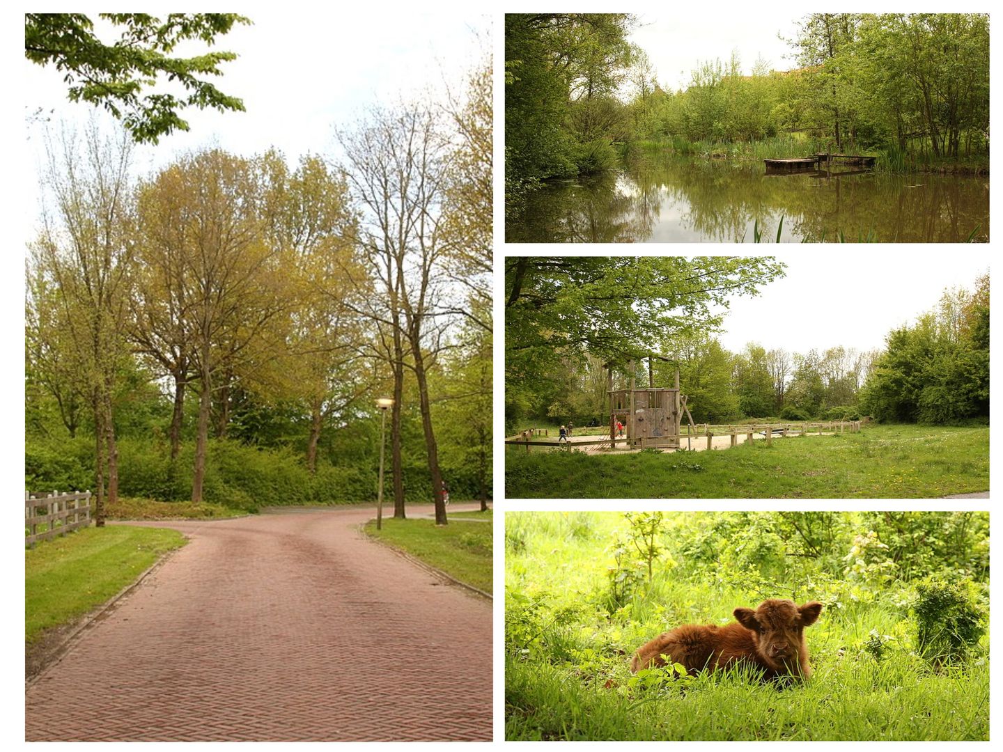 Foto 4 van Rietschans 8