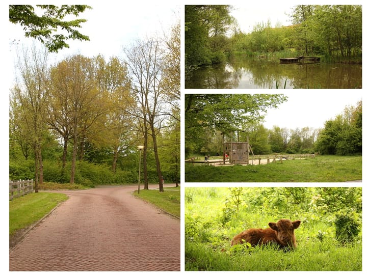 Foto 4 van Rietschans 8