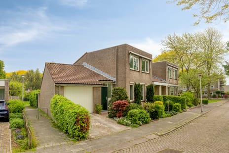 Vijfkamp thumbnail