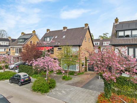 Jan Trouwstraat thumbnail