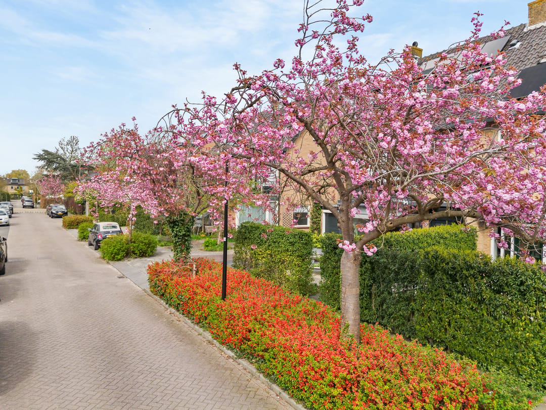 Photo 2 of Jan Trouwstraat 6