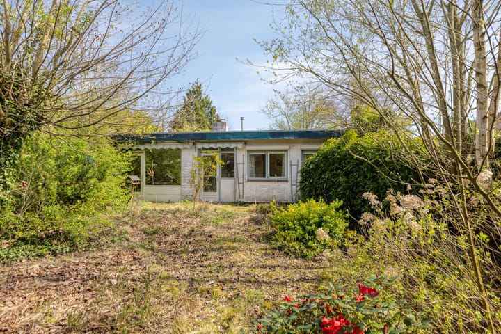 Foto 3 van Doornboomspark 9