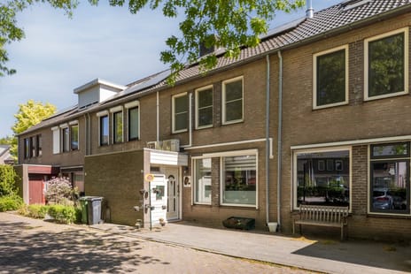 Schutsboom thumbnail