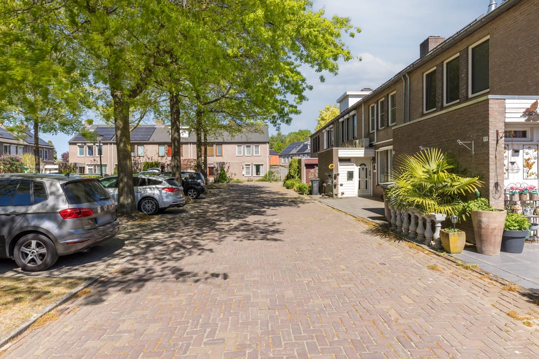 Foto 46 van Schutsboom 37