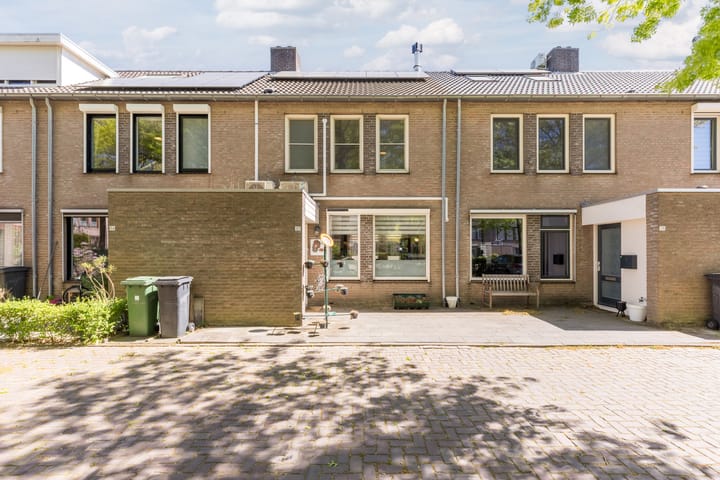Foto 2 van Schutsboom 37
