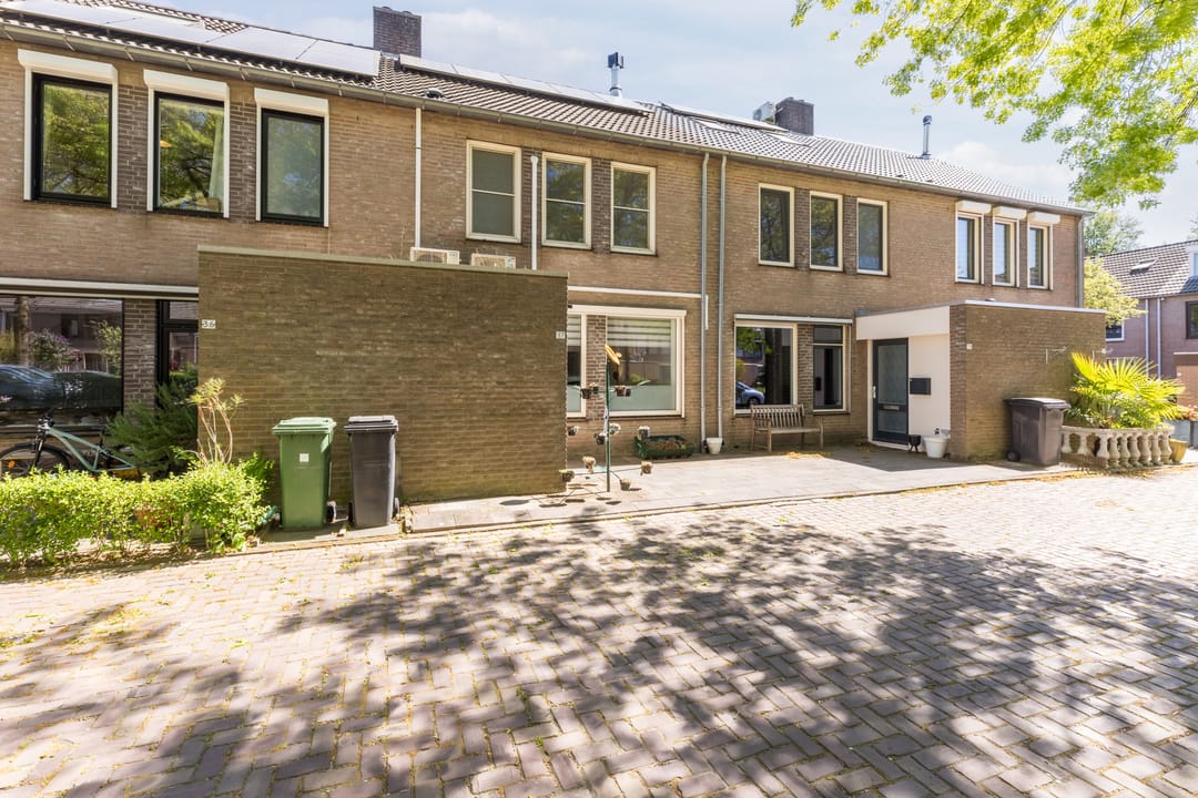 Foto 47 van Schutsboom 37