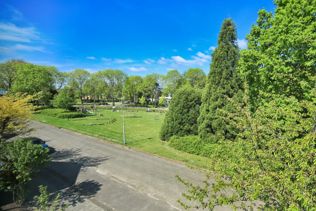 Foto 47 van Celsiusplantsoen 2