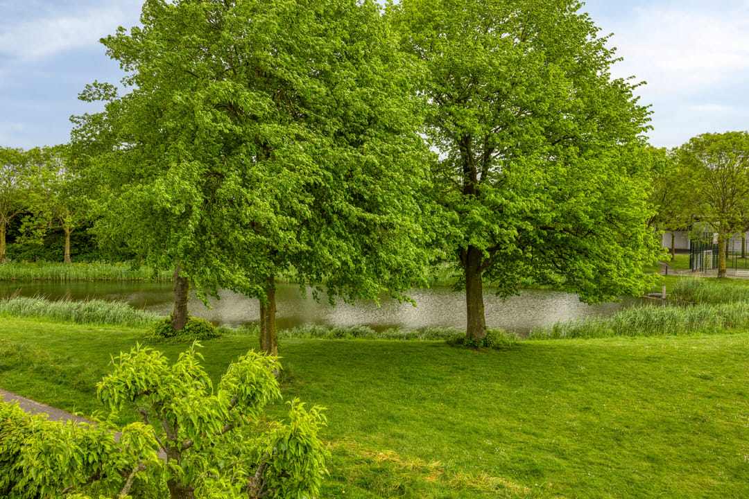 Photo 2 of Nieuwedijk 35