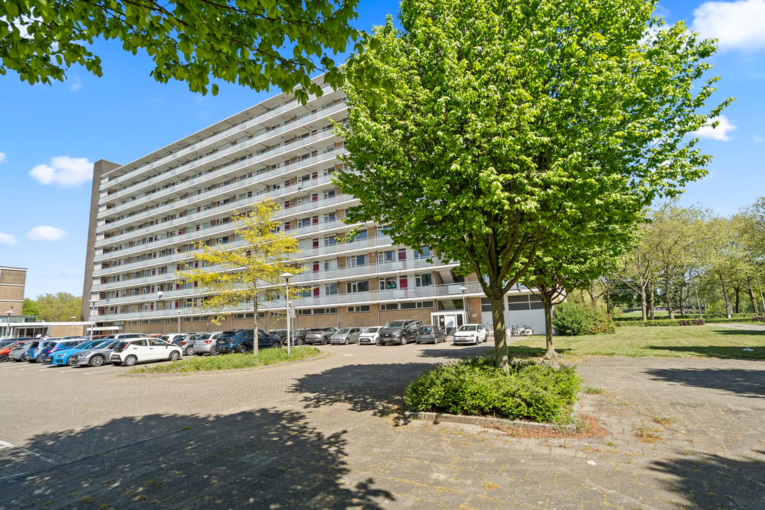 Foto 1 van Livingstonelaan 638
