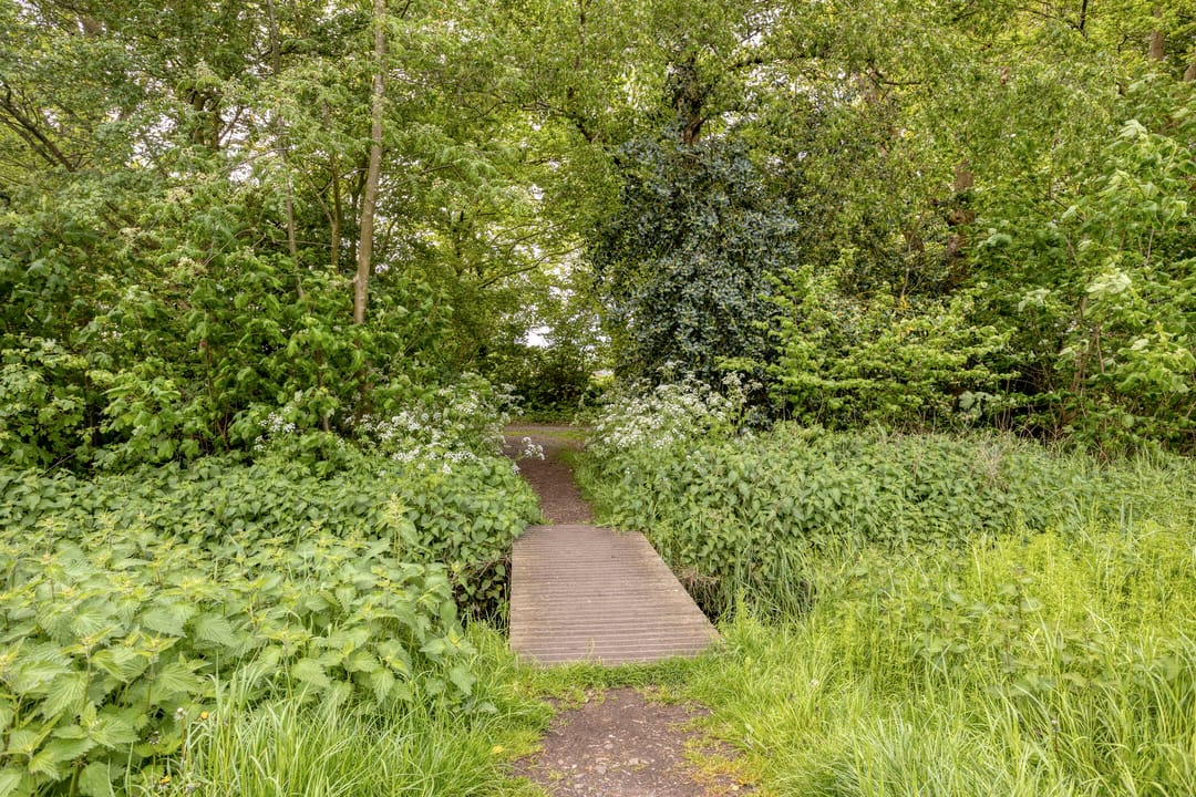 Photo 37 of Ilpenstein 28