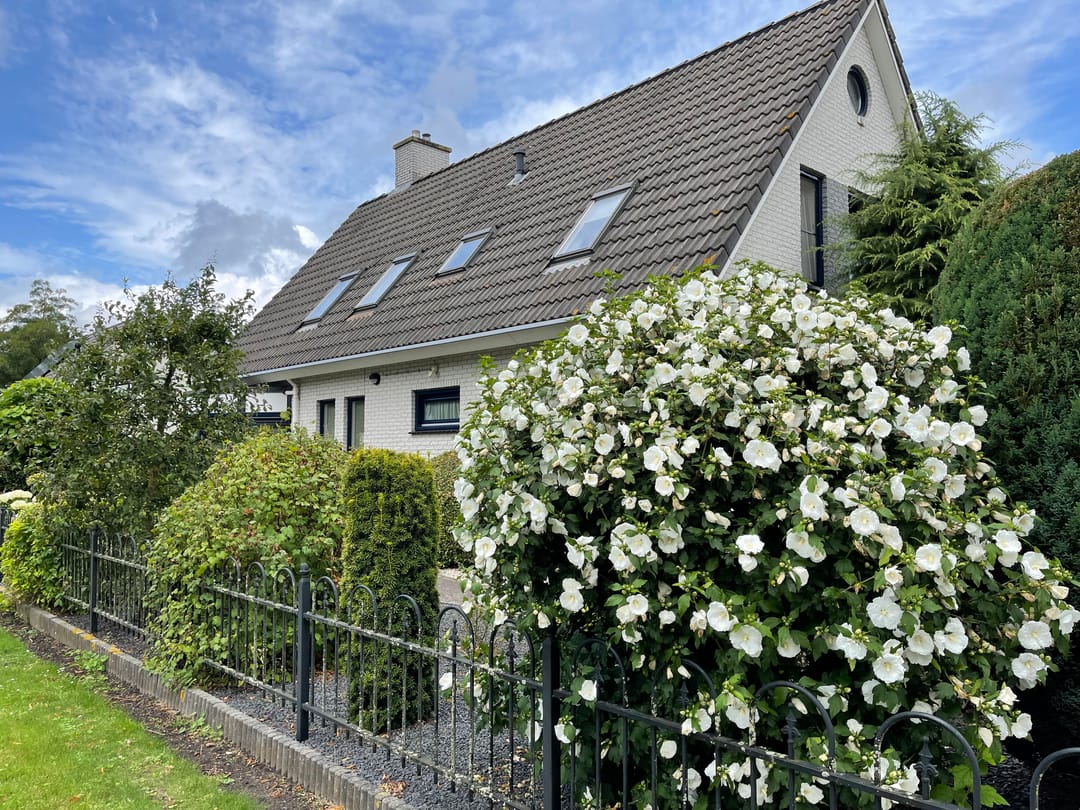Foto 46 van Citer 26