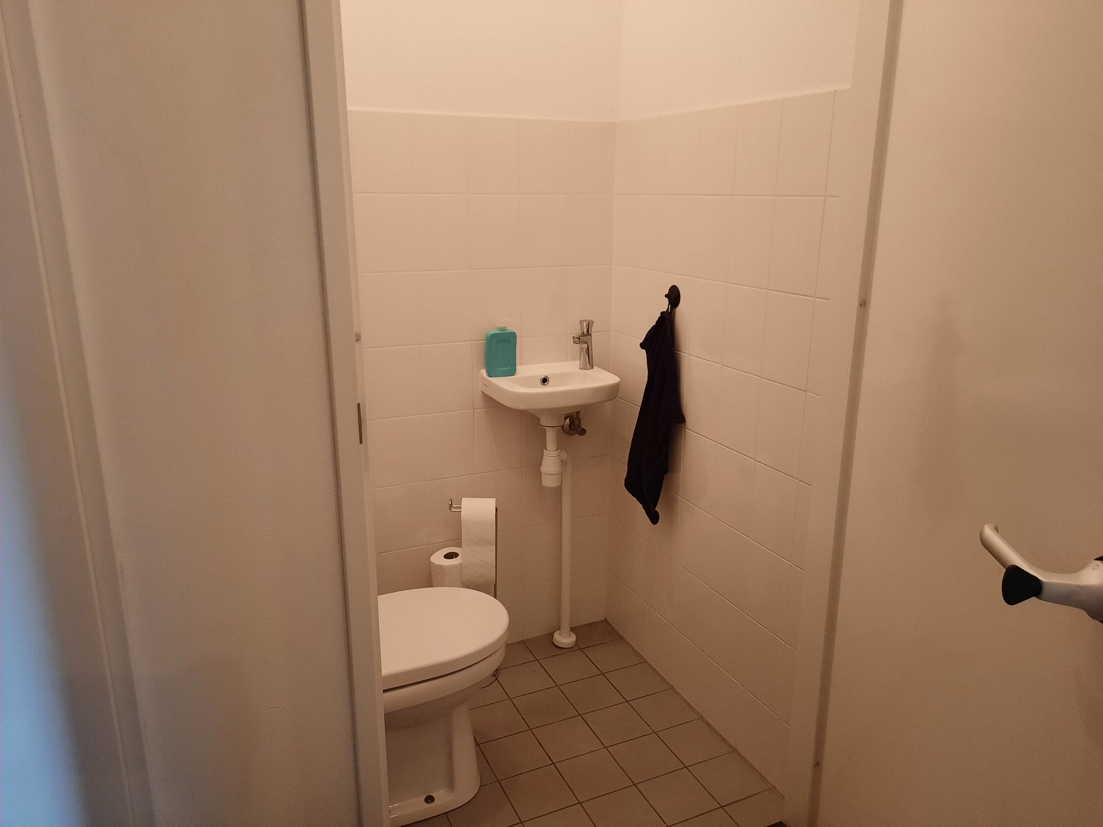 Foto 12 van Händellaan 112