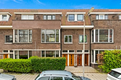 Botaniestraat thumbnail