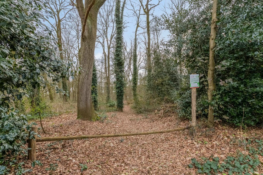 Photo 41 of Molenklefweg 15