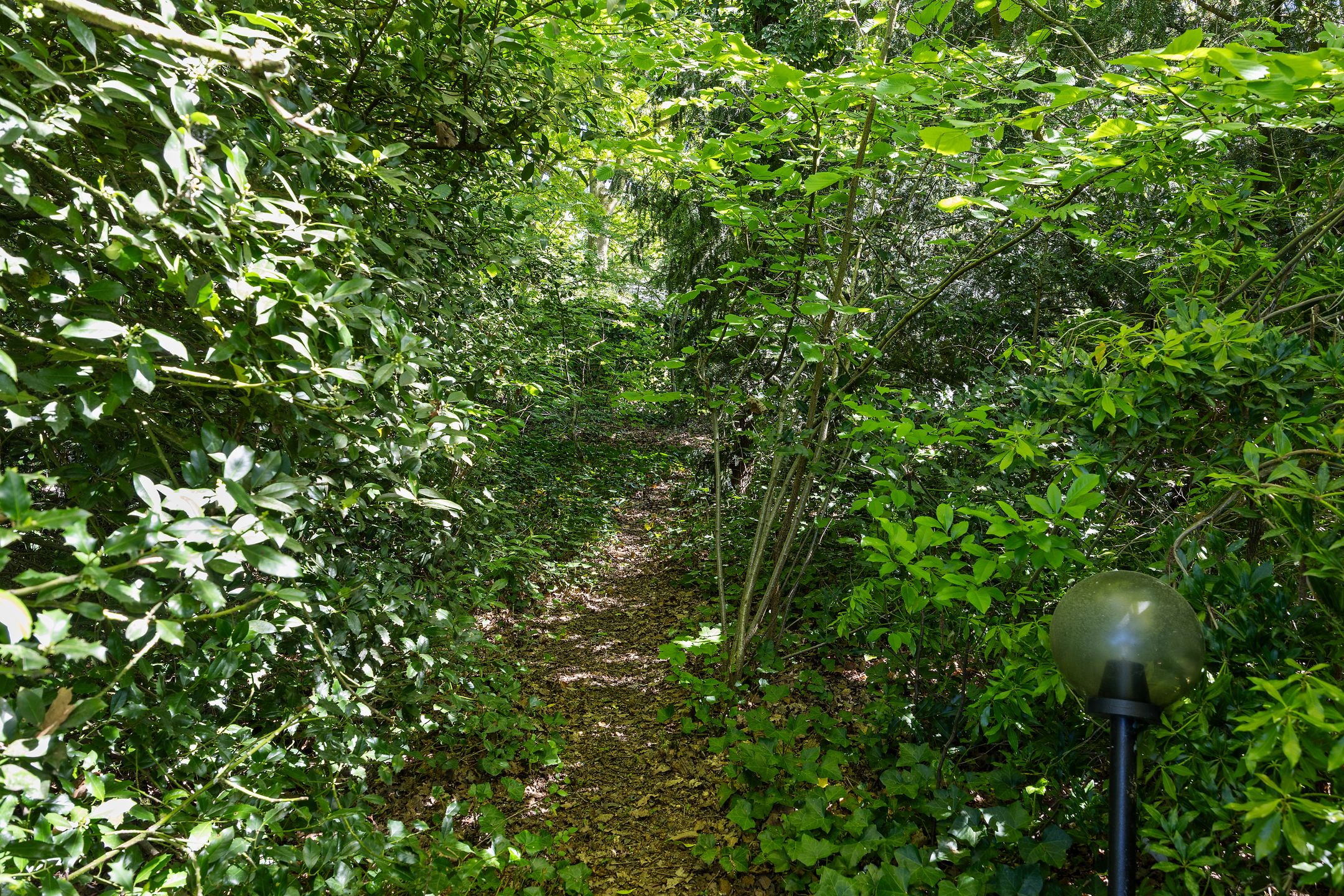 Photo 33 of Molenklefweg 15