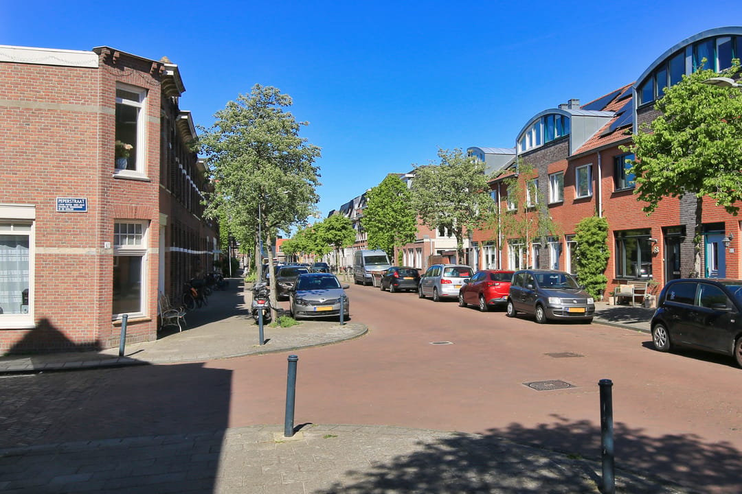 Foto 47 van Potgieterstraat 48