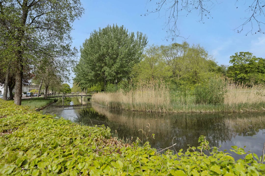 Photo 22 of Philippus de Montestraat 74