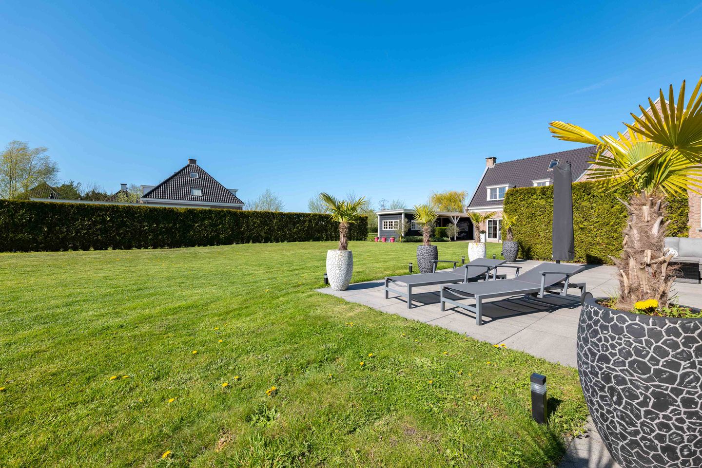 Photo 74 of Boomweg 13-C