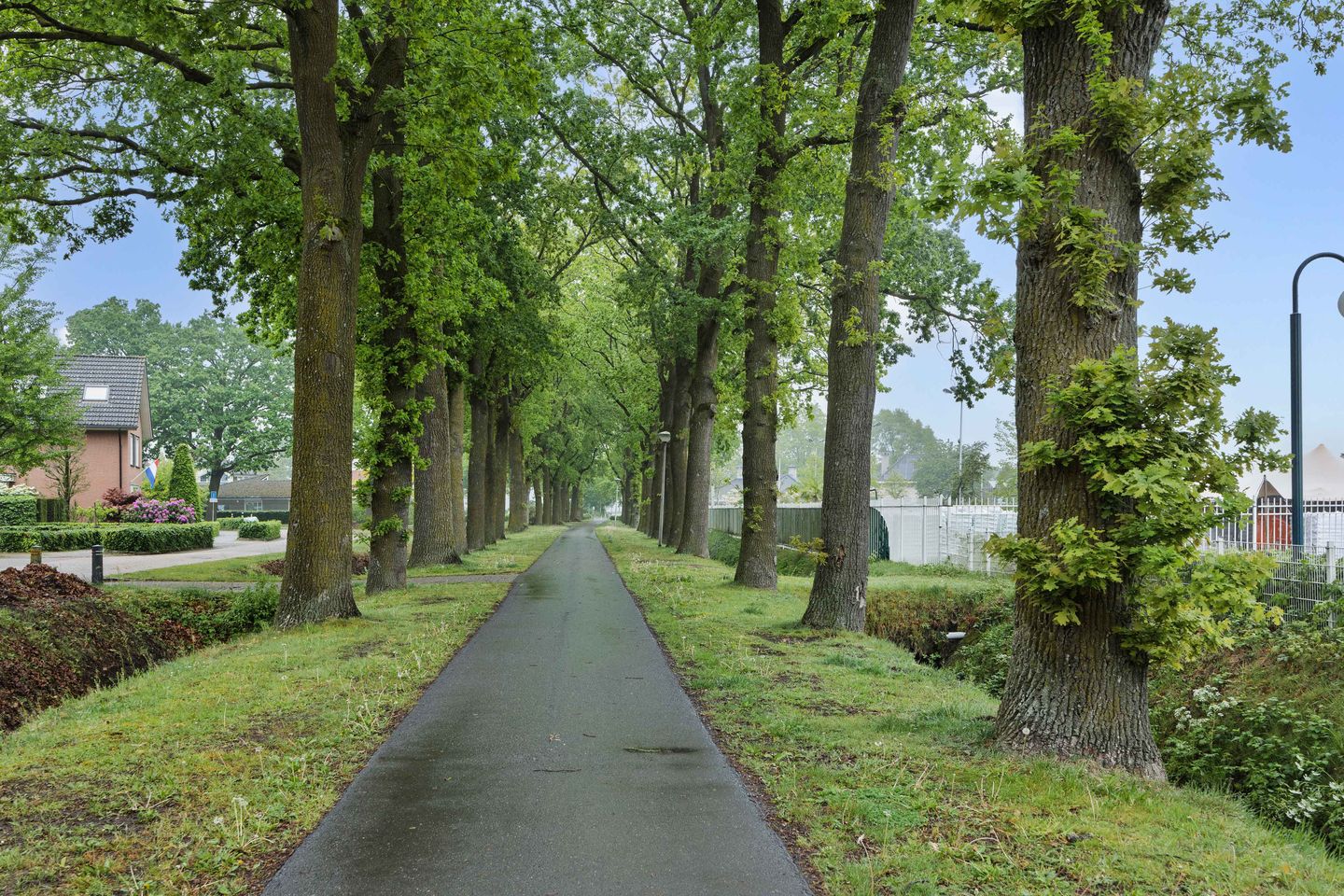 Photo 44 of Willi Martinalistraat 48