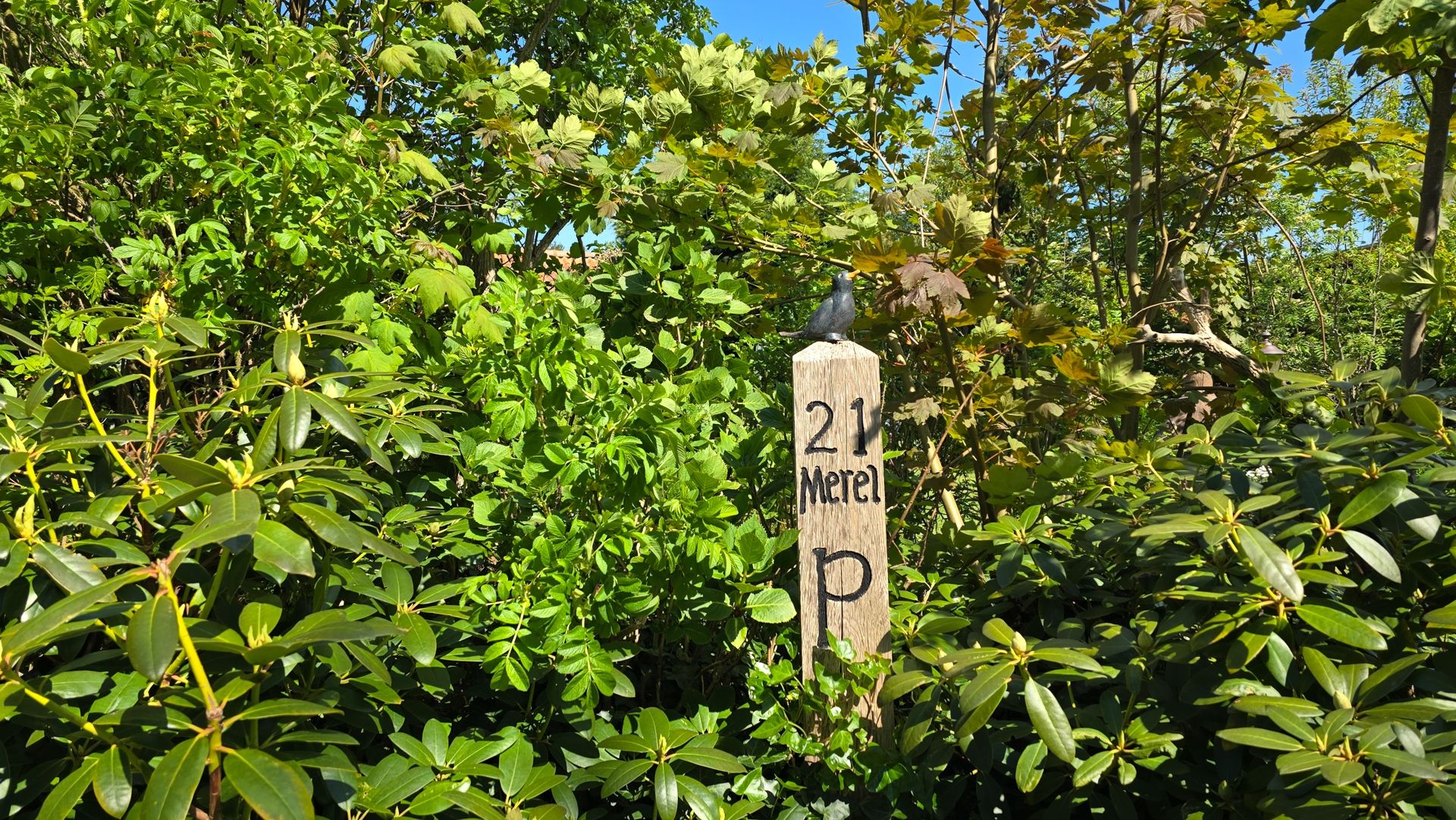 Photo 30 of Koksbosweg 21