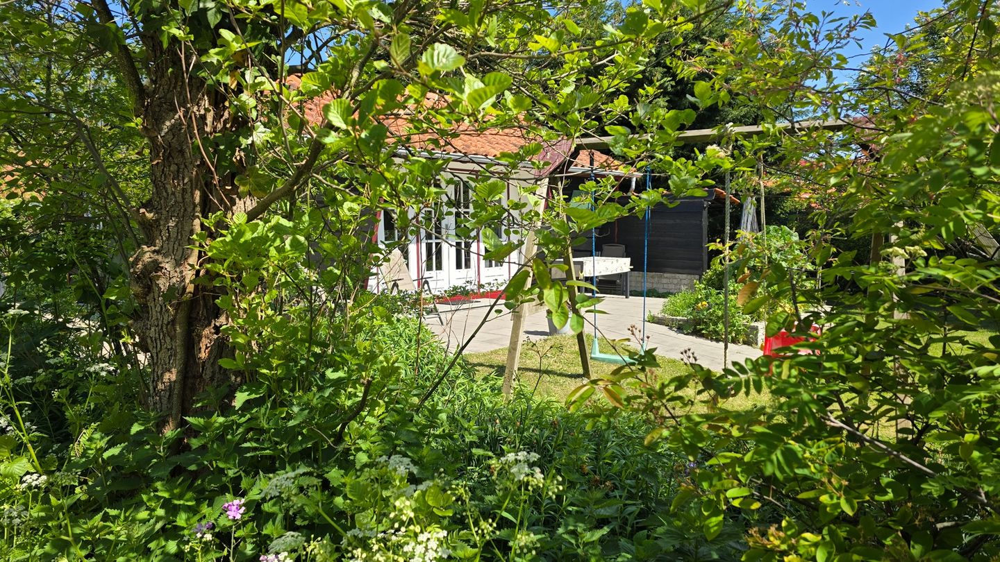 Photo 29 of Koksbosweg 21