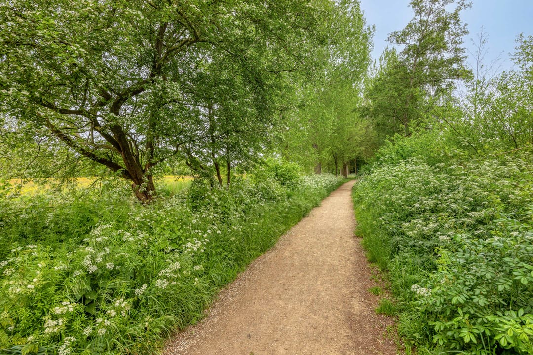 Foto 46 van Gandhiweg 27