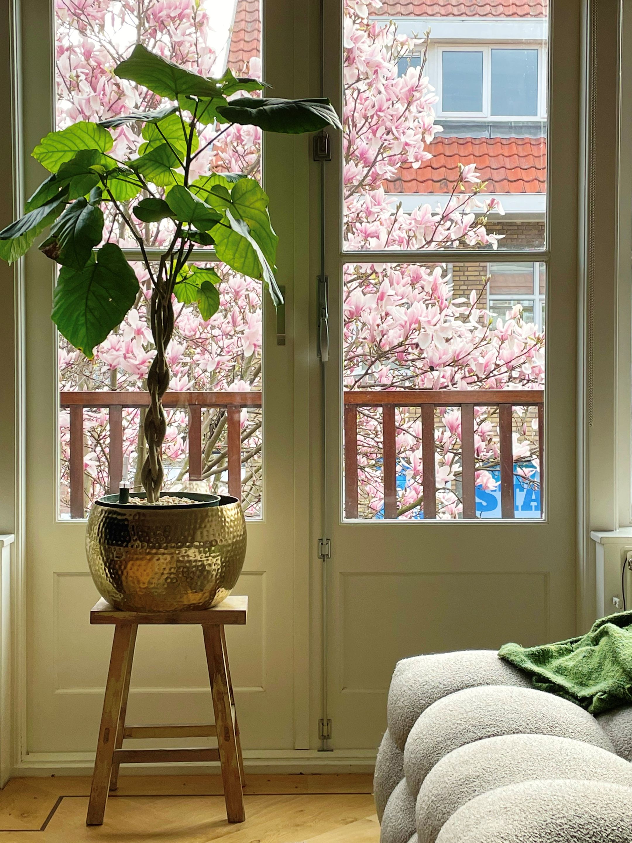 Photo 12 of Mandarijnstraat 3