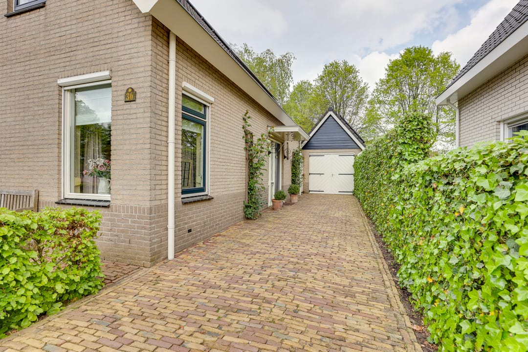 Photo 7 of Roerdomp 36