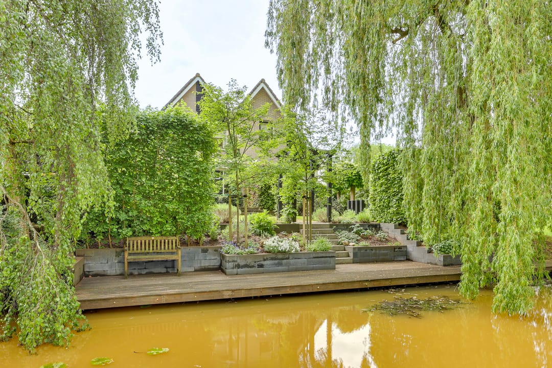 Photo 2 of Roerdomp 36